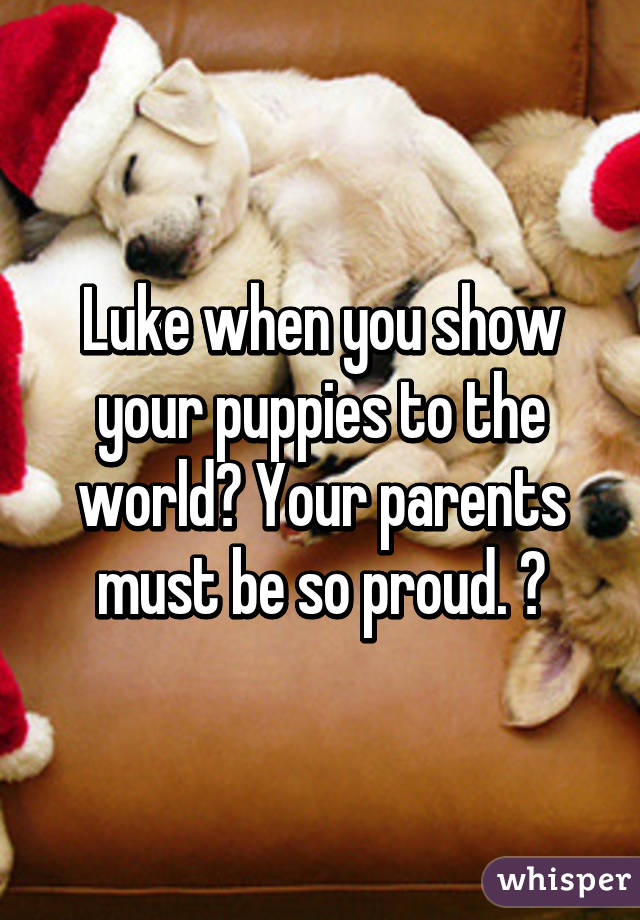 Luke when you show your puppies to the world? Your parents must be so proud. 😒