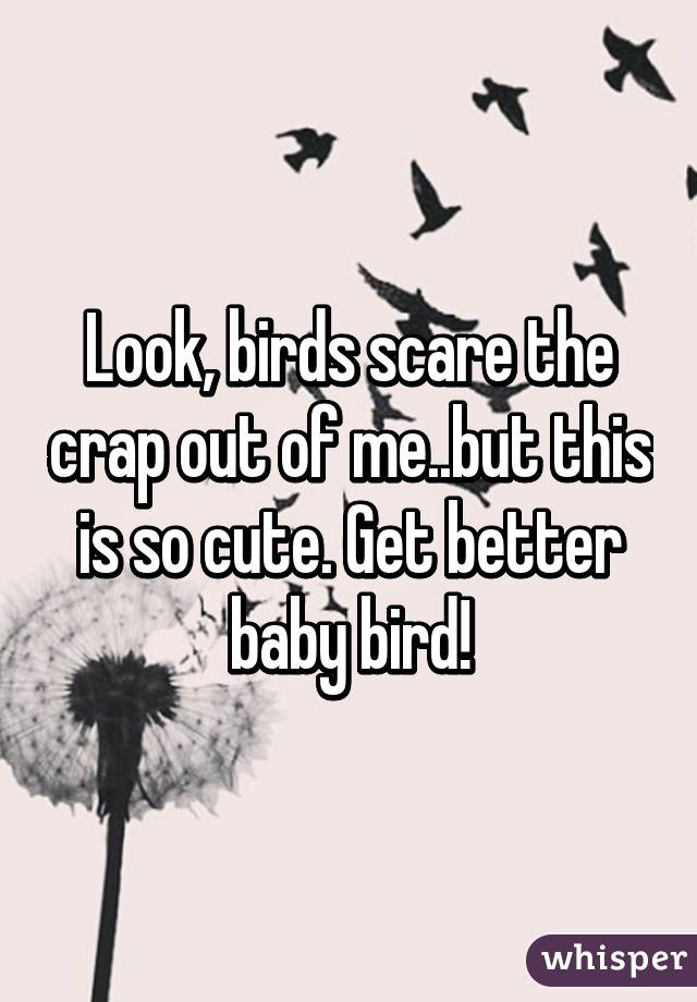 Look, birds scare the crap out of me..but this is so cute. Get better baby bird!