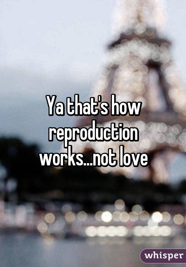 Ya that's how reproduction works...not love