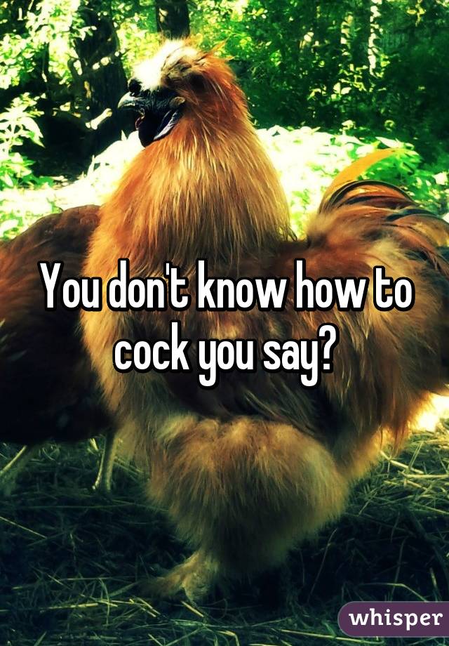 You don't know how to cock you say?
