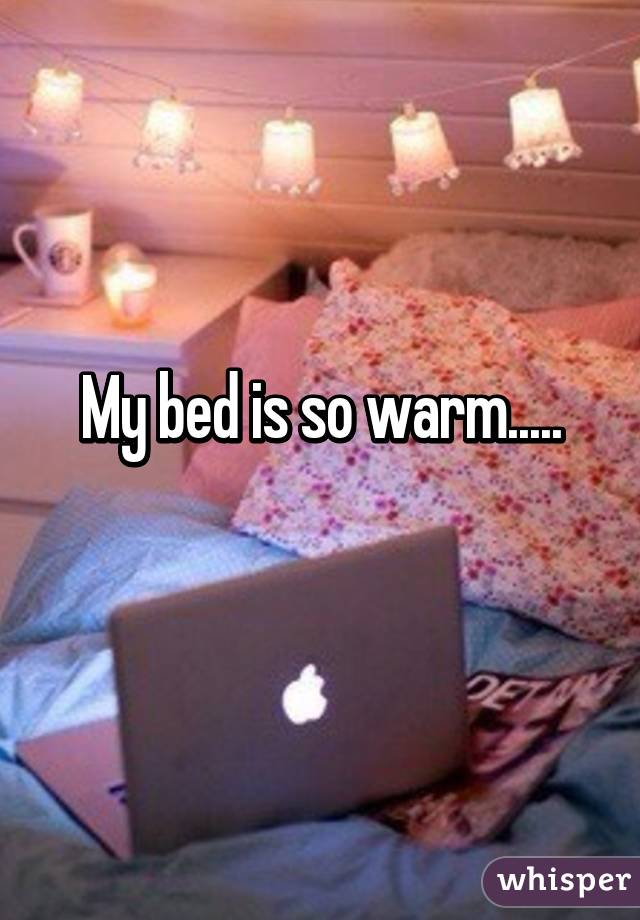 My bed is so warm.....
