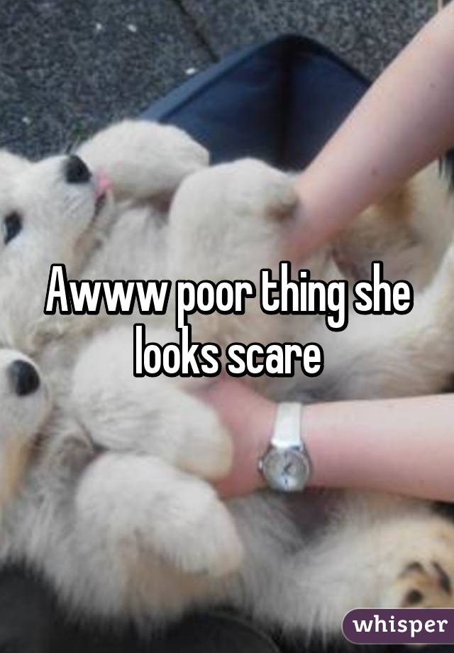 Awww poor thing she looks scare