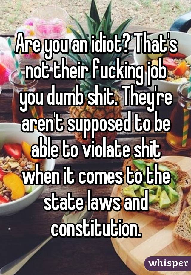 Are you an idiot? That's not their fucking job you dumb shit. They're aren't supposed to be able to violate shit when it comes to the state laws and constitution.