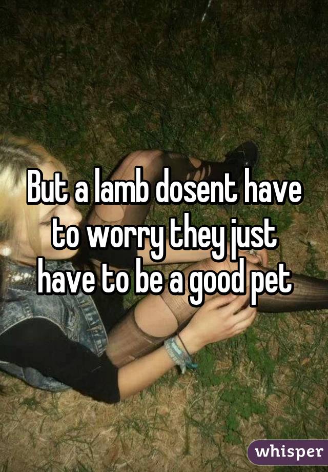 But a lamb dosent have to worry they just have to be a good pet