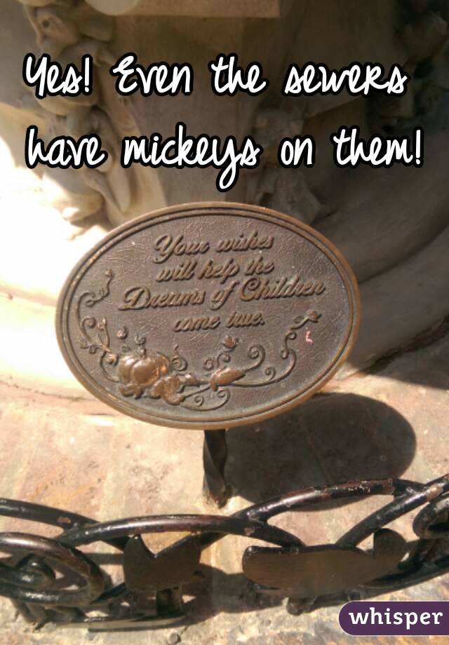 Yes! Even the sewers have mickeys on them!