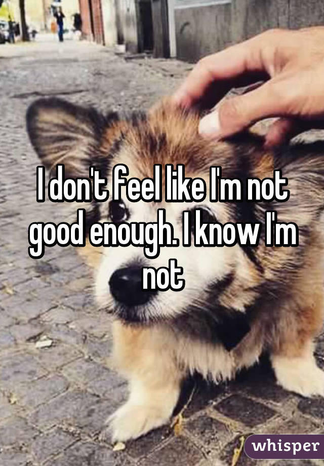 I don't feel like I'm not good enough. I know I'm not
