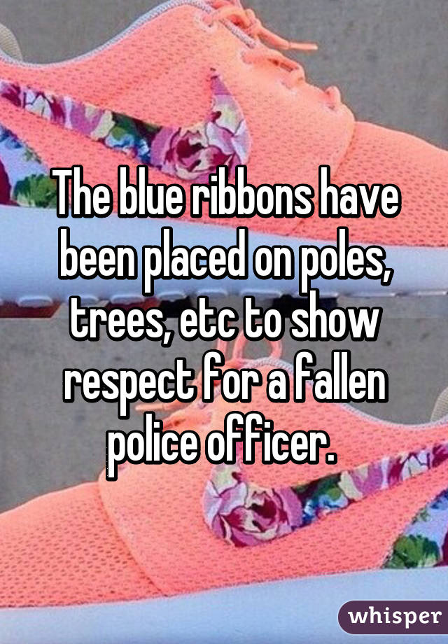 The blue ribbons have been placed on poles, trees, etc to show respect for a fallen police officer. 