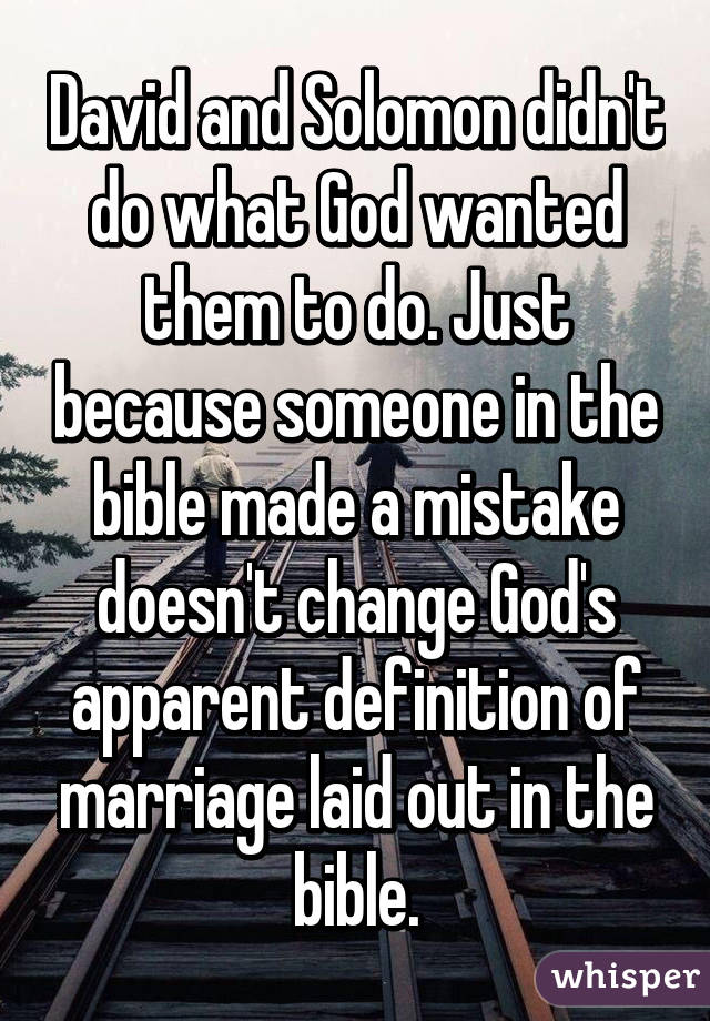 David and Solomon didn't do what God wanted them to do. Just because someone in the bible made a mistake doesn't change God's apparent definition of marriage laid out in the bible.