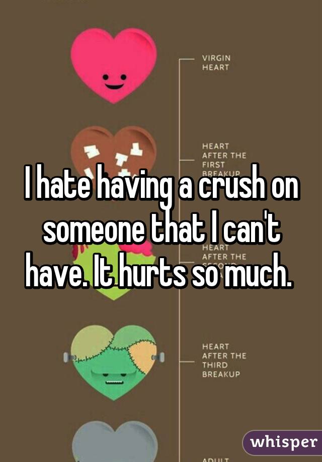 I hate having a crush on someone that I can't have. It hurts so much. 