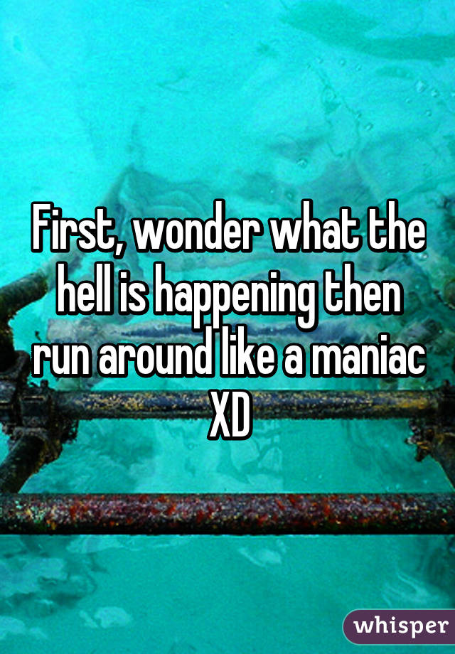 First, wonder what the hell is happening then run around like a maniac XD