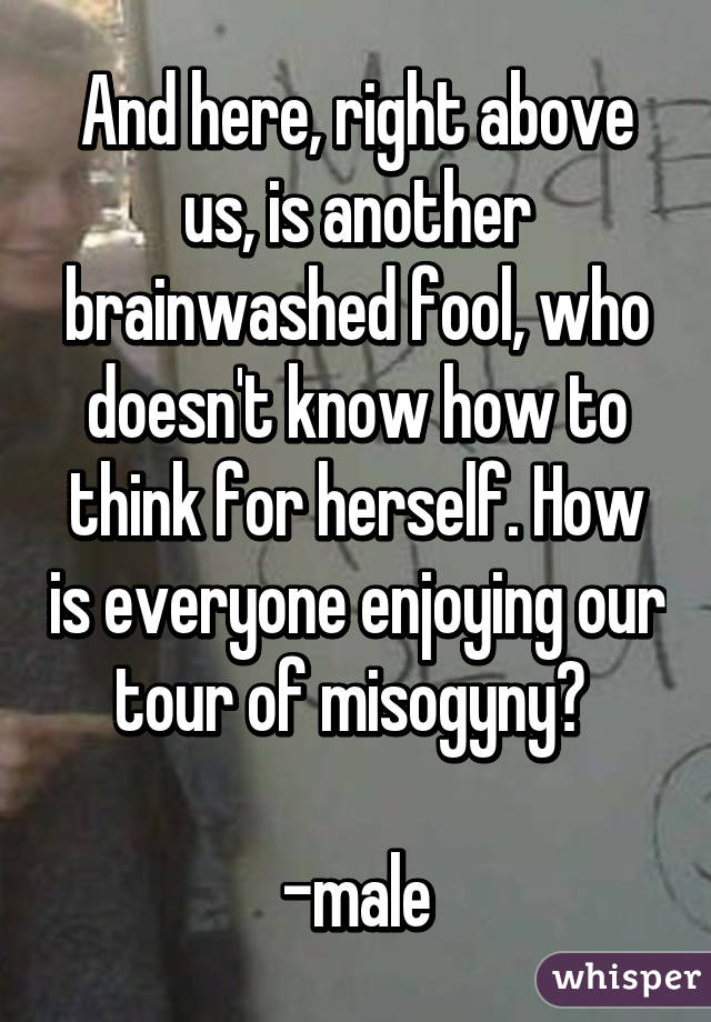 And here, right above us, is another brainwashed fool, who doesn't know how to think for herself. How is everyone enjoying our tour of misogyny? 

-male