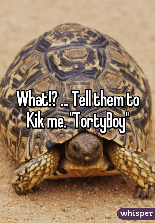 What!? ... Tell them to Kik me. "TortyBoy"