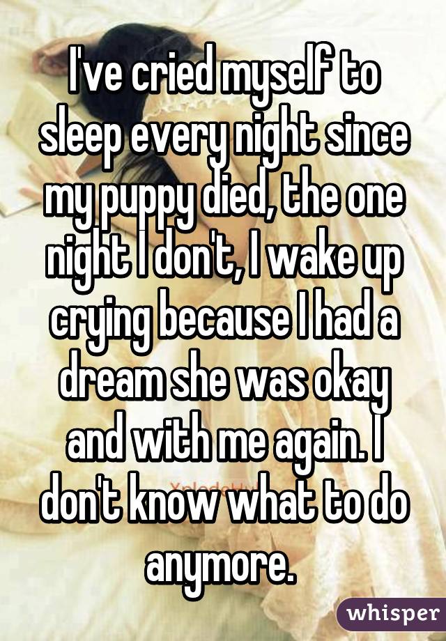 I've cried myself to sleep every night since my puppy died, the one night I don't, I wake up crying because I had a dream she was okay and with me again. I don't know what to do anymore. 