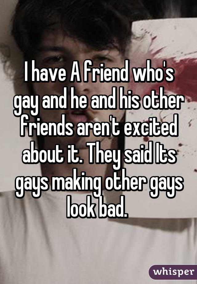I have A friend who's gay and he and his other friends aren't excited about it. They said Its gays making other gays look bad. 