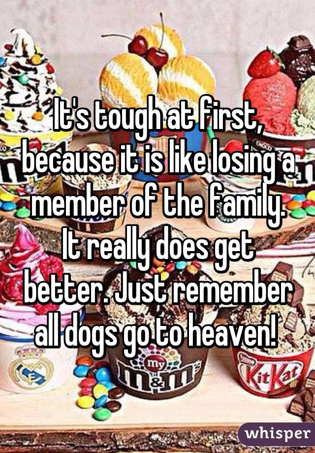It's tough at first, because it is like losing a member of the family. It really does get better. Just remember all dogs go to heaven! 