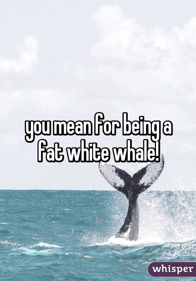 you mean for being a fat white whale!