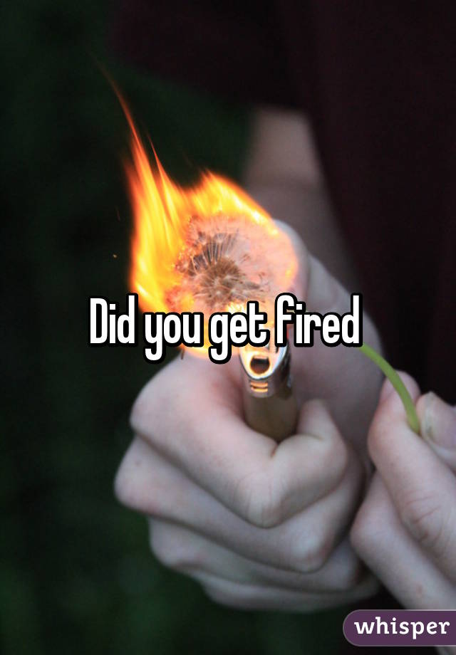 Did you get fired 