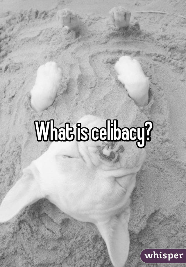 What is celibacy?