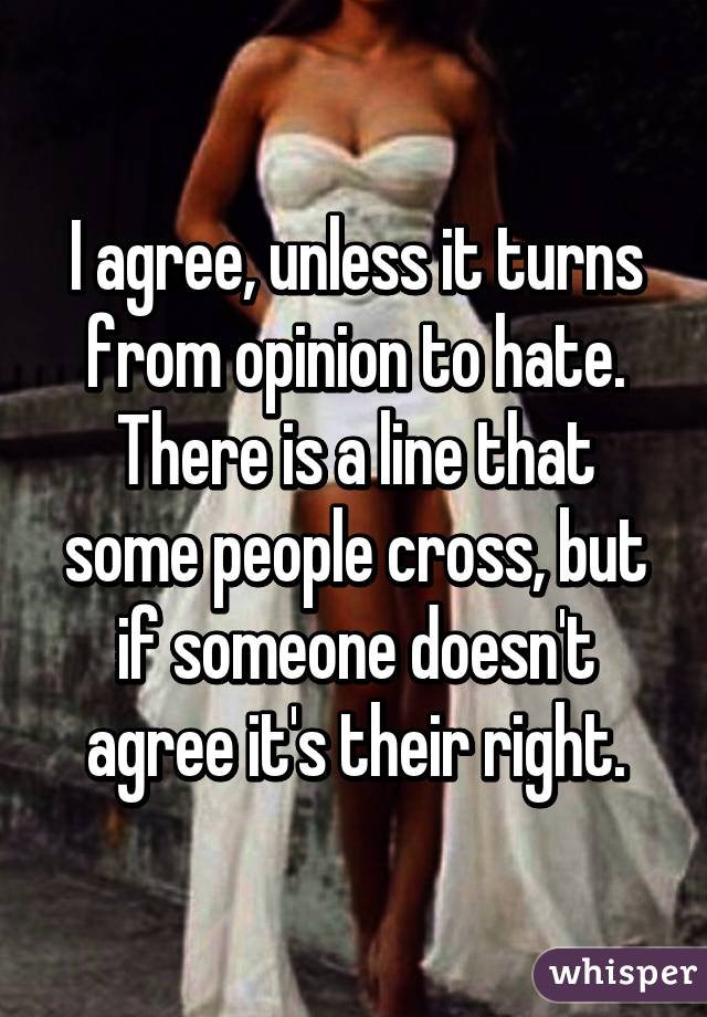 I agree, unless it turns from opinion to hate. There is a line that some people cross, but if someone doesn't agree it's their right.