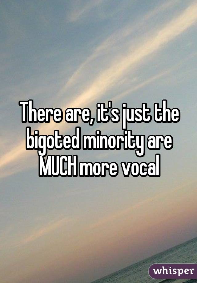 There are, it's just the bigoted minority are MUCH more vocal