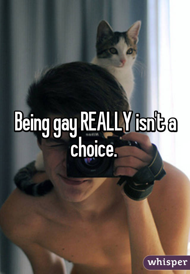 Being gay REALLY isn't a choice. 