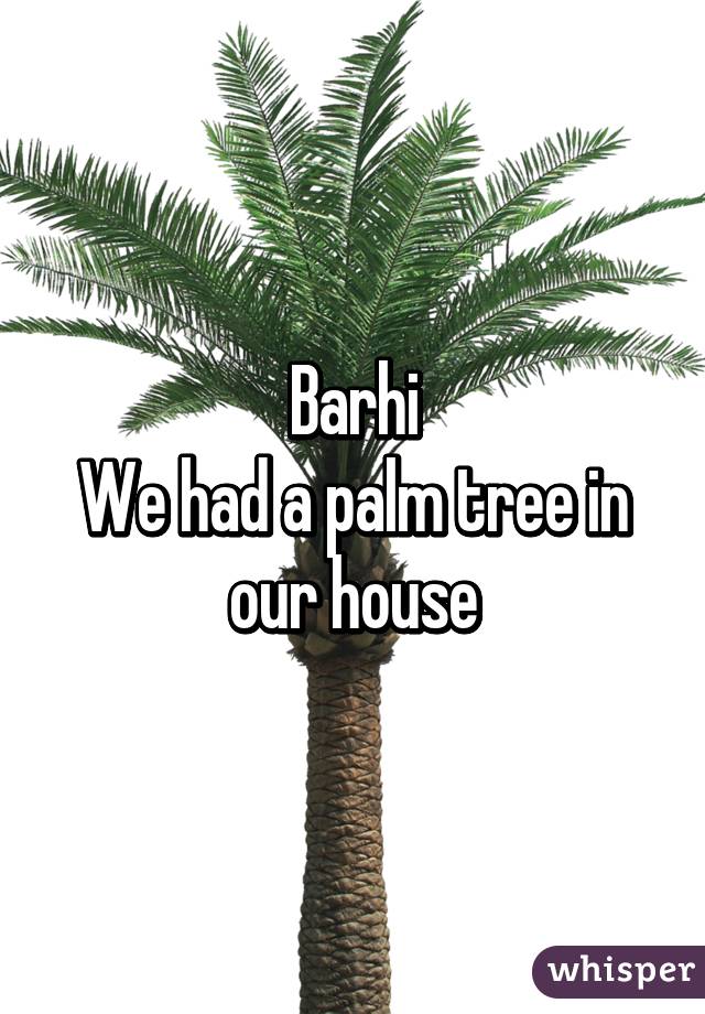 Barhi
We had a palm tree in our house