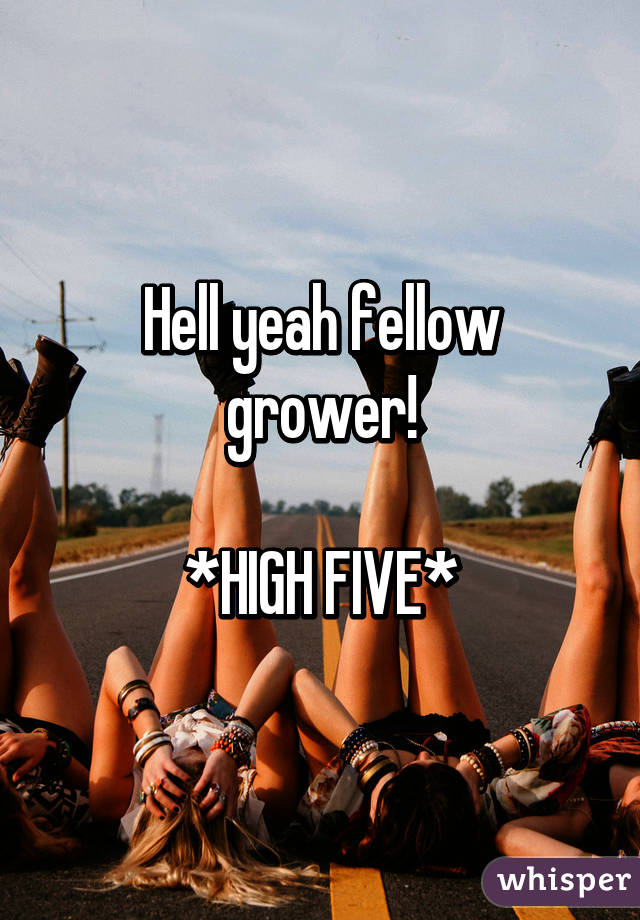 Hell yeah fellow grower!

*HIGH FIVE*