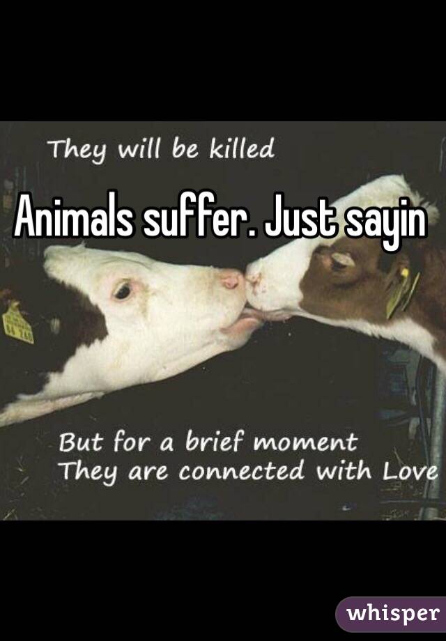 Animals suffer. Just sayin 
