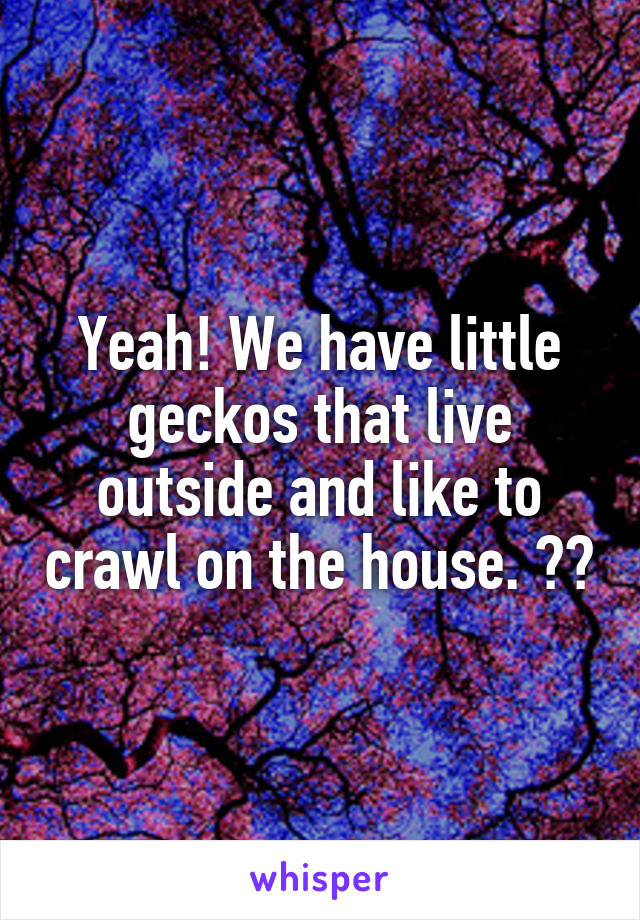 Yeah! We have little geckos that live outside and like to crawl on the house. 😊😊