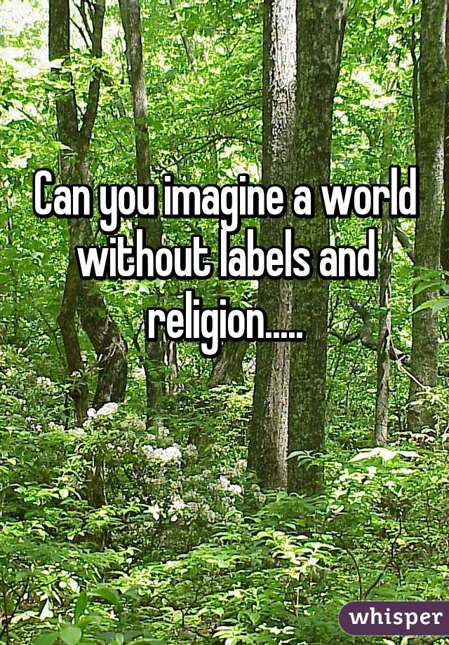 Can you imagine a world without labels and religion.....

