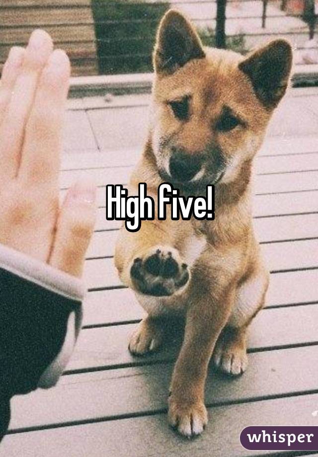 High five!
