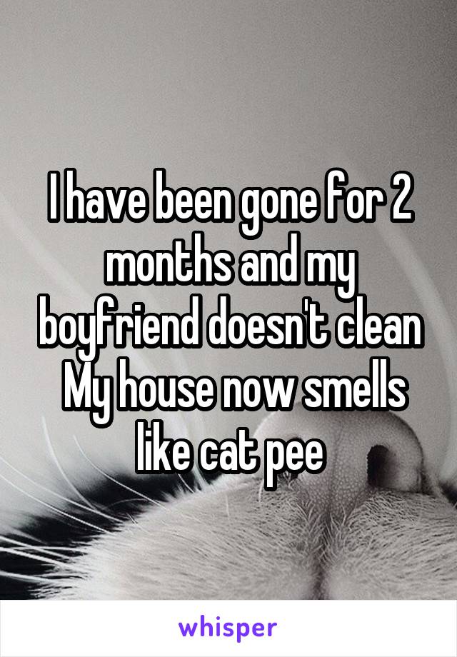 I have been gone for 2 months and my boyfriend doesn't clean
 My house now smells like cat pee