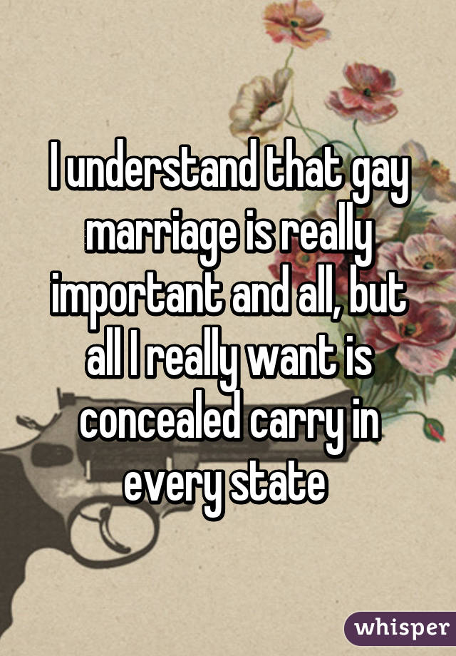 I understand that gay marriage is really important and all, but all I really want is concealed carry in every state 