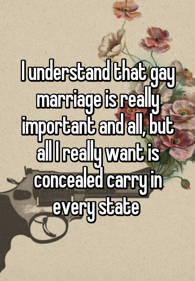 I understand that gay marriage is really important and all, but all I really want is concealed carry in every state 