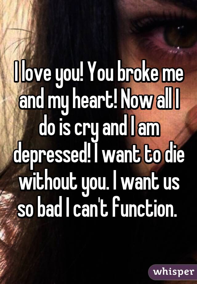 I love you! You broke me and my heart! Now all I do is cry and I am depressed! I want to die without you. I want us so bad I can't function. 