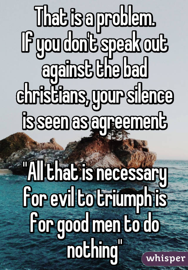 That is a problem.
If you don't speak out against the bad christians, your silence is seen as agreement

"All that is necessary for evil to triumph is for good men to do nothing"