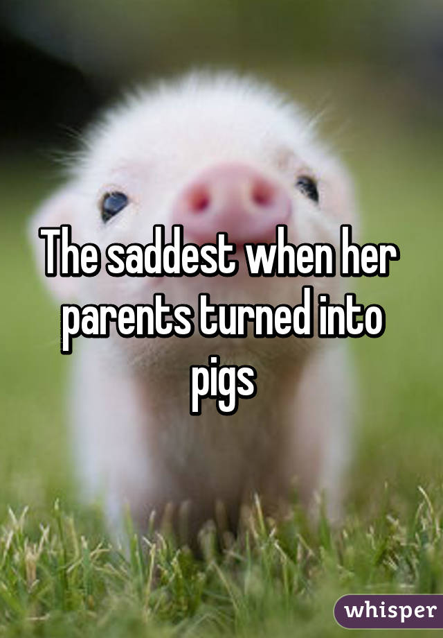 The saddest when her 
parents turned into pigs