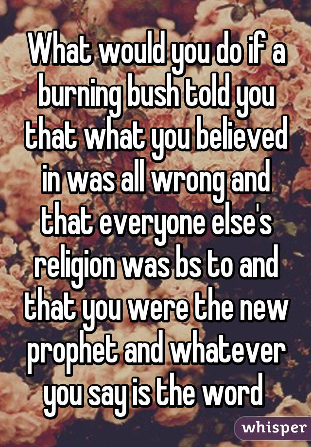 What would you do if a burning bush told you that what you believed in was all wrong and that everyone else's religion was bs to and that you were the new prophet and whatever you say is the word 