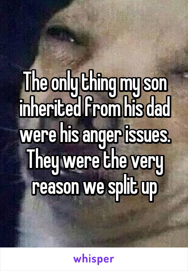 The only thing my son inherited from his dad were his anger issues. They were the very reason we split up
