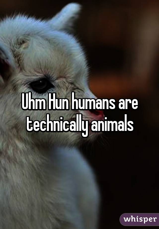 Uhm Hun humans are technically animals
