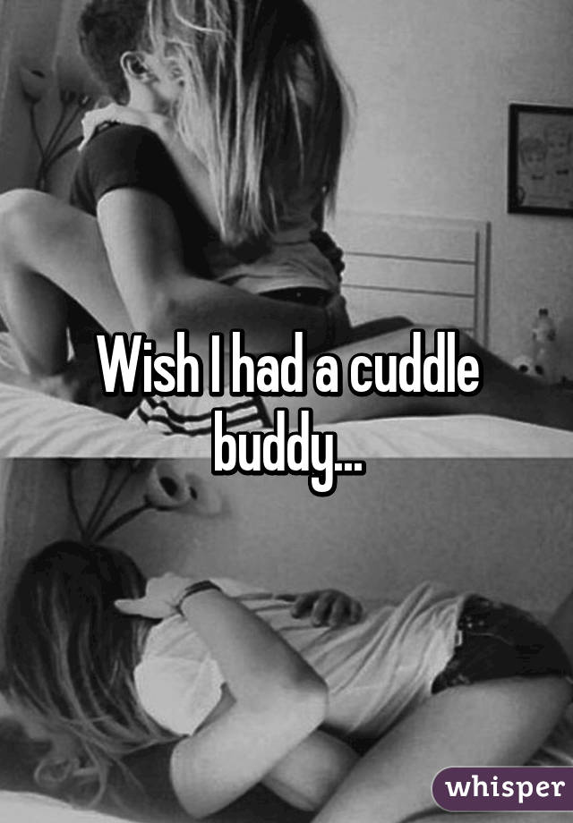 Wish I had a cuddle buddy...