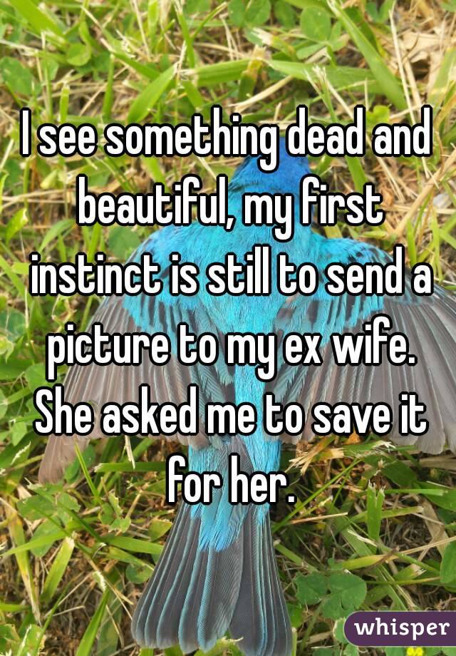 I see something dead and beautiful, my first instinct is still to send a picture to my ex wife. She asked me to save it for her.