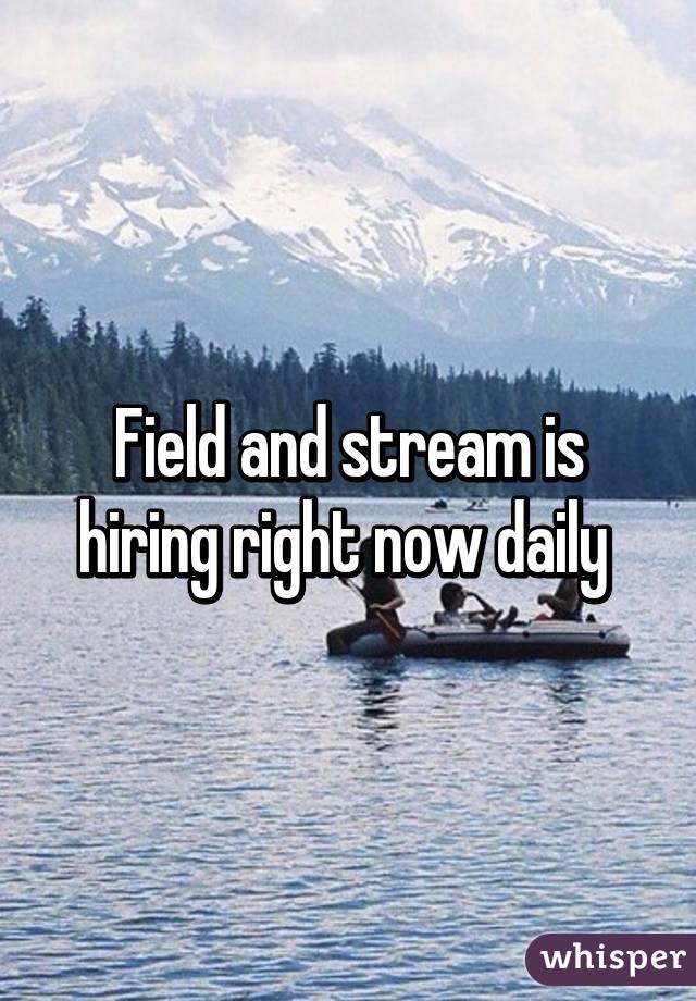 Field and stream is hiring right now daily 