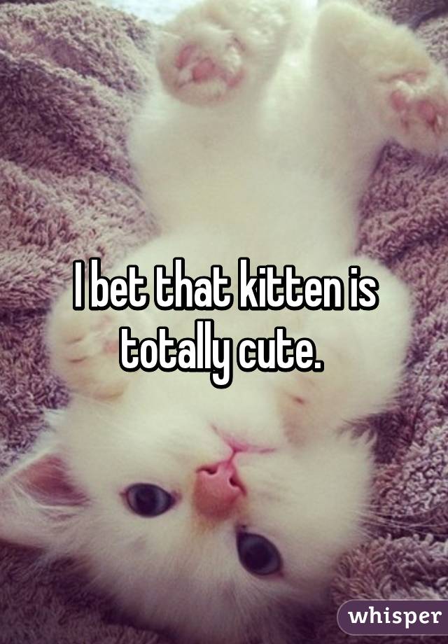 I bet that kitten is totally cute. 