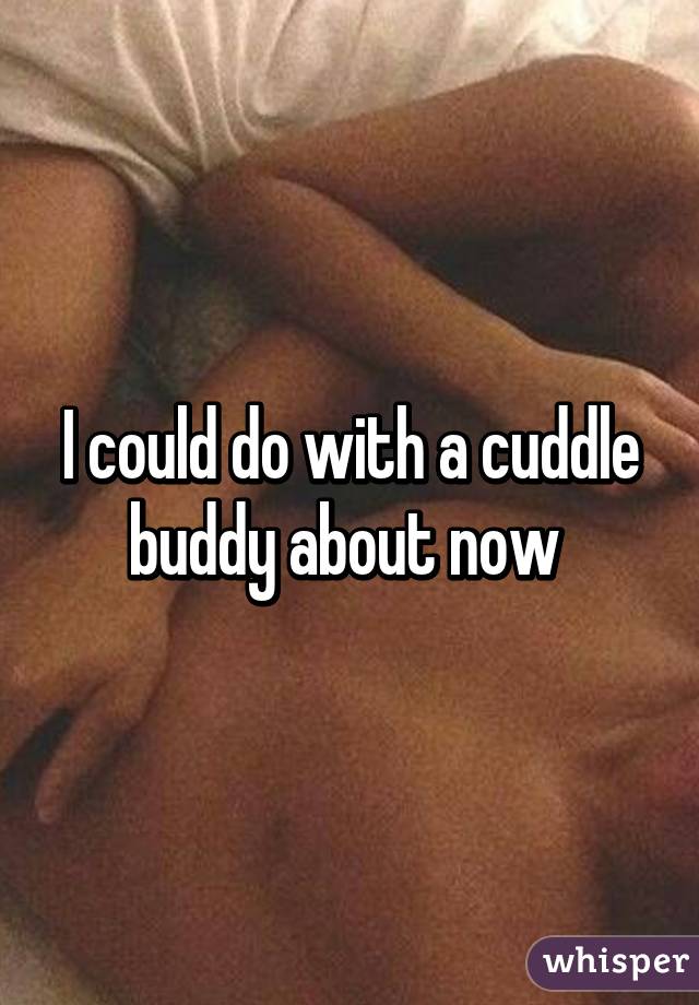 I could do with a cuddle buddy about now 