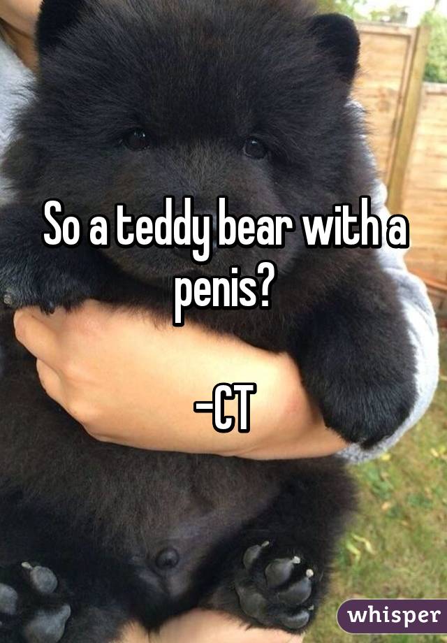 So a teddy bear with a penis?

-CT