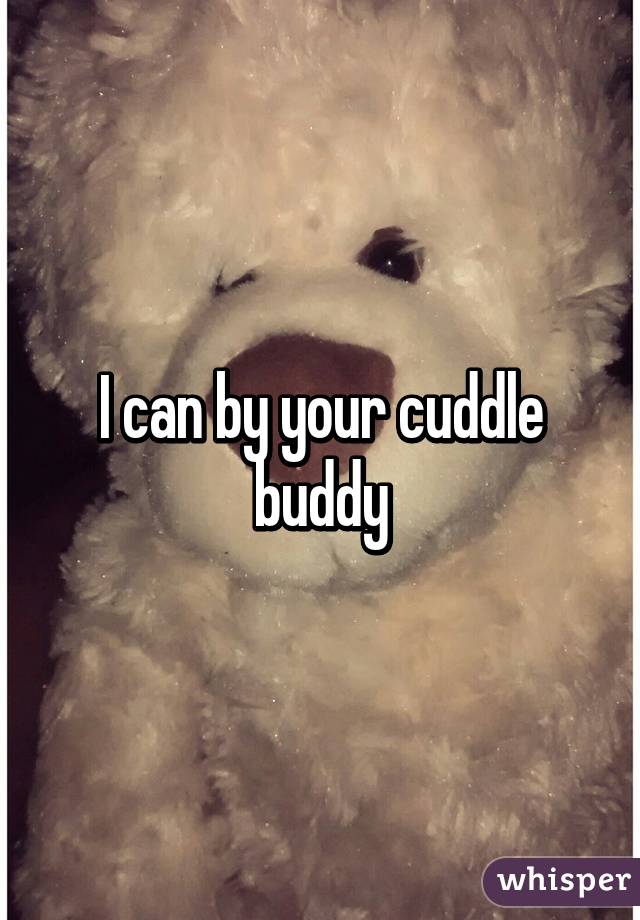 I can by your cuddle buddy
