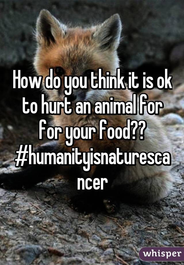 How do you think it is ok to hurt an animal for for your food?? #humanityisnaturescancer