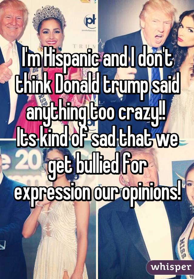 I'm Hispanic and I don't think Donald trump said anything too crazy!! 
Its kind of sad that we get bullied for expression our opinions!
