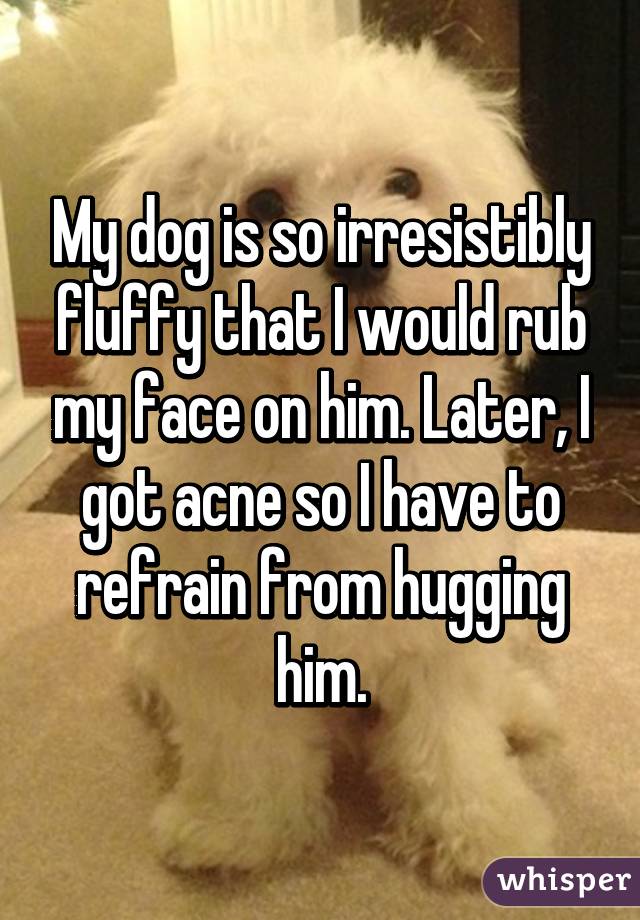 My dog is so irresistibly fluffy that I would rub my face on him. Later, I got acne so I have to refrain from hugging him.